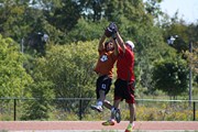 OTFL Gallery Image
